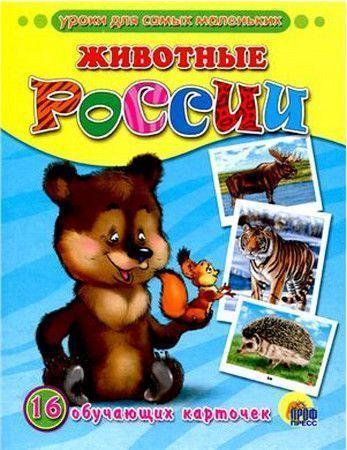 Животные России.Уроки для самых маленьких.16 обучающих карточек