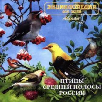 Голоса птиц — Птицы средней полосы России